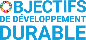 SDG logo